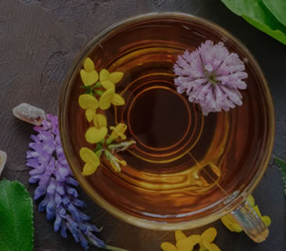 Naturopatia Funcional